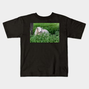 Sheep Kids T-Shirt